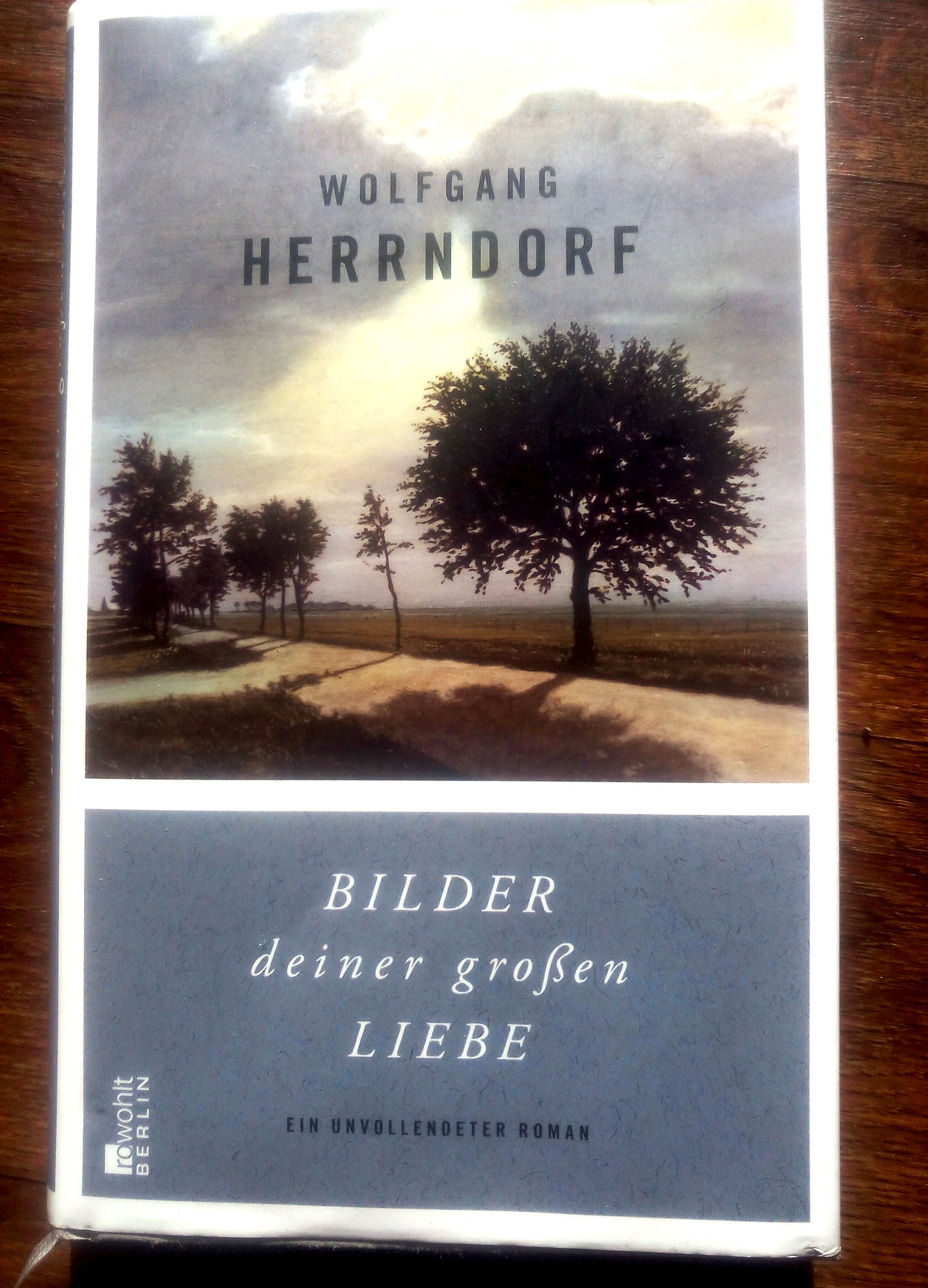 Wolfgang Herrndorf "Bilder deiner groÃŸen Liebe"