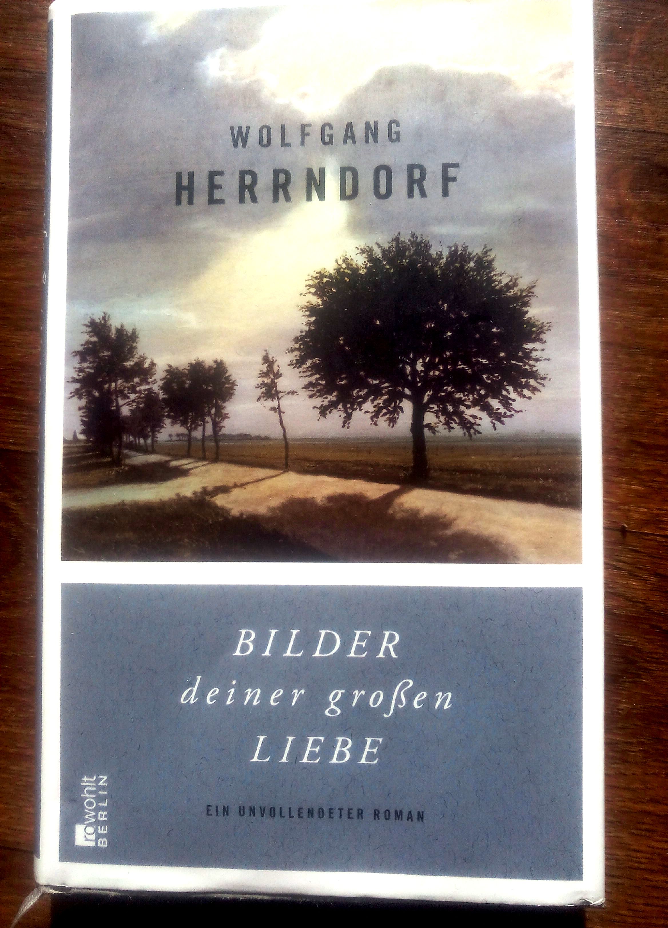 Wolfgang Herrndorf "Bilder deiner großen Liebe"