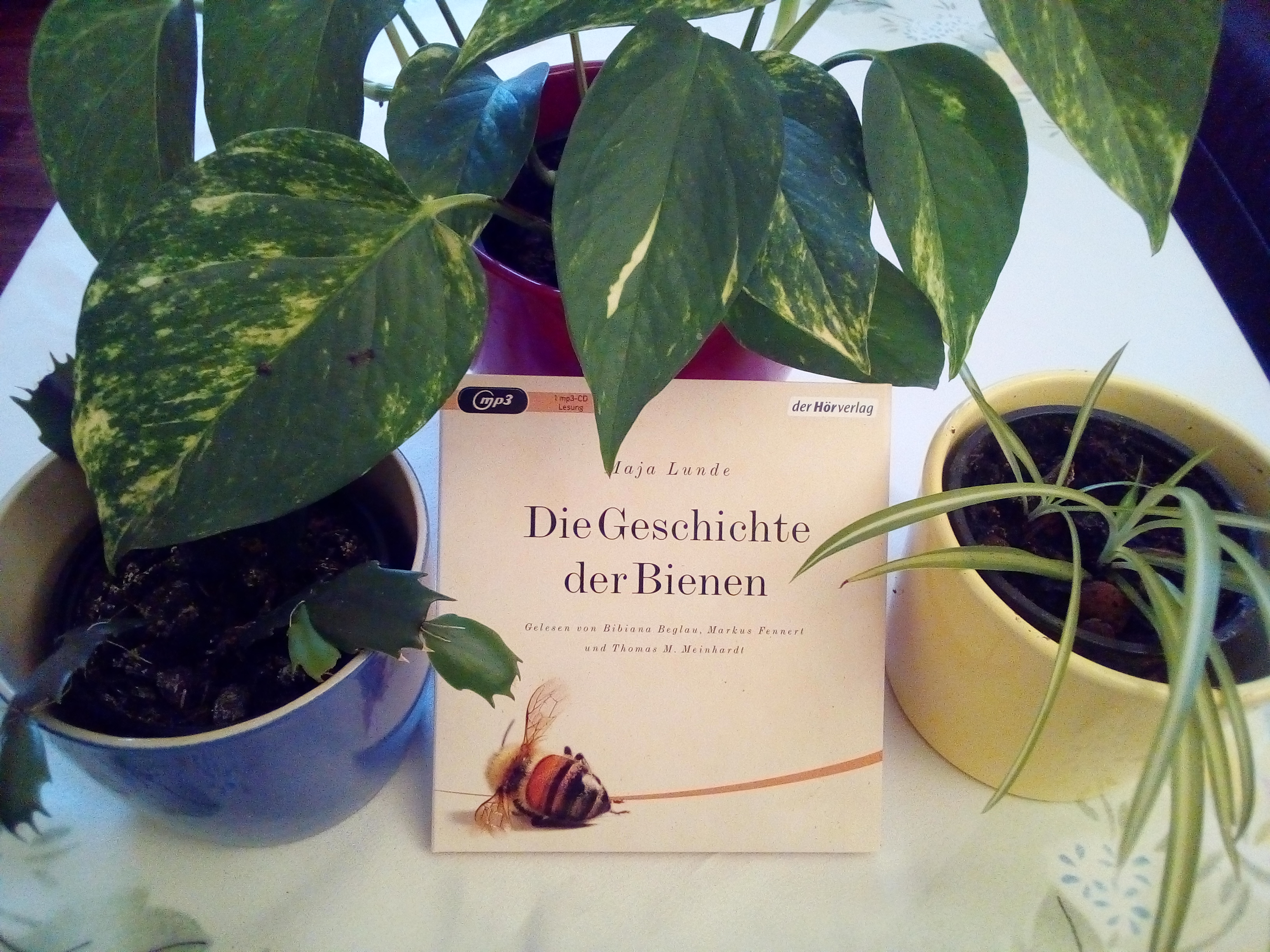 [Hörbuch] "Die Geschichte der Bienen" von Maja Lunde