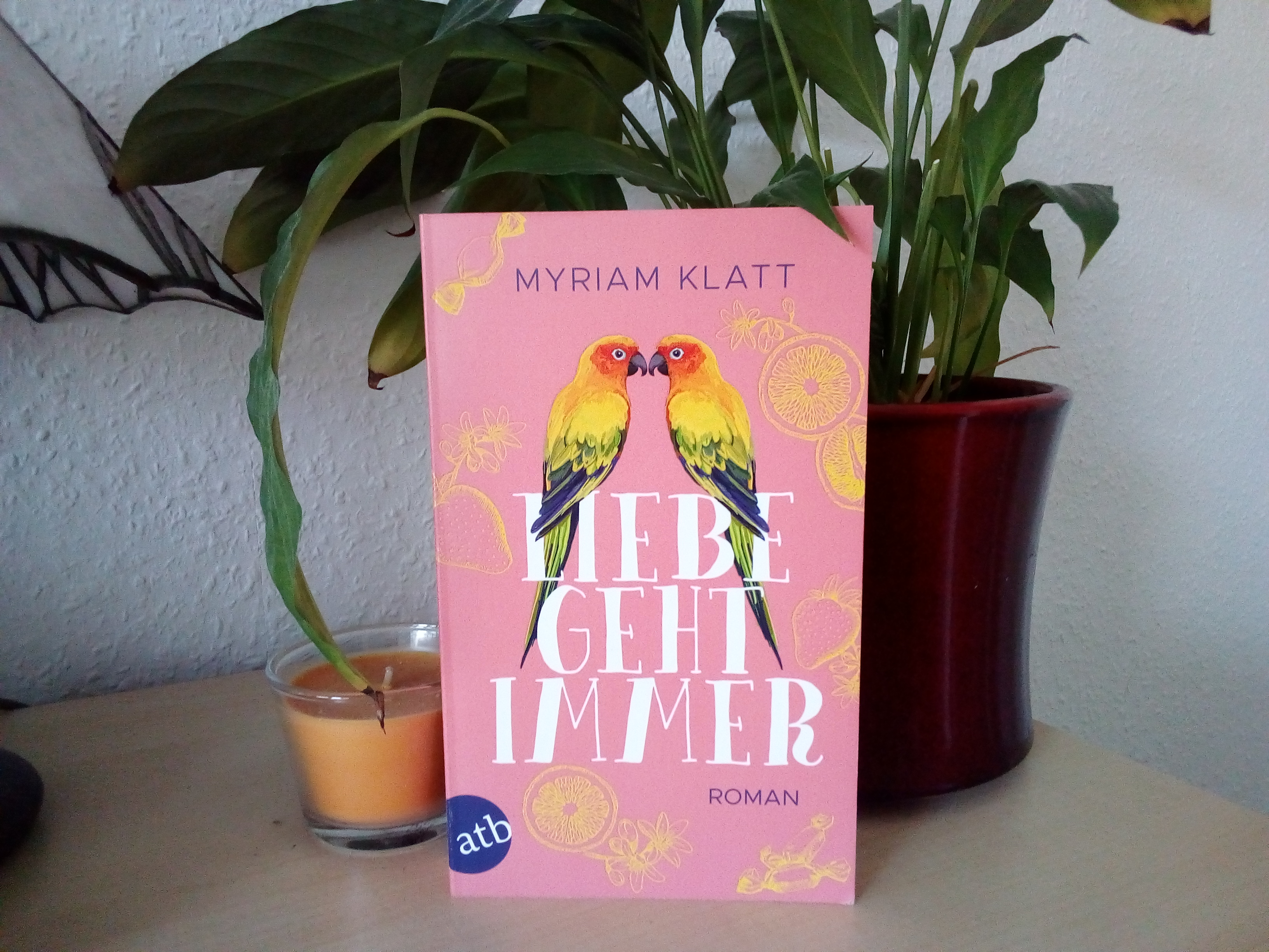 [Rezension] Selbstakzeptanz statt Selbstanpassung: "Liebe geht immer" von Myriam Klatt