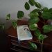 [Bücher] 6 persönliche Empfehlungen zum Gastland Georgien (+ Gewinnspiel)