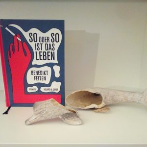 [Rezension] Das Scheitern als Lebensform:  "So oder so ist das Leben" von Benedikt Feiten